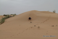 2013-TL-Dubai-4.Tag-1402