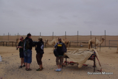 2013-TL-Dubai-4.Tag-1418