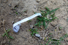 2013-TL-Dubai-4.Tag-1444