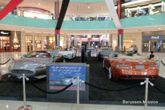 2013-TL-Dubai-5.Tag-1477