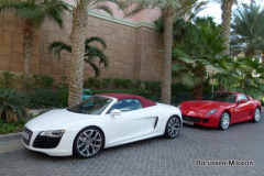 2013-TL-Dubai-5.Tag-1527