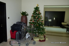 2013-TL-Dubai-5.Tag1473