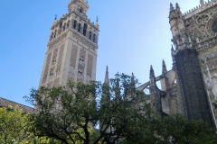 in-Sevilla-1195