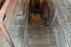 2017-in-Florenz-1172