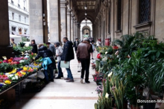 2017-in-Florenz-1178