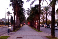 2019-WTL-Jerez-1266 2019-WTL-Jerez-1266