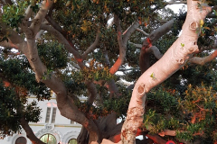 2019-WTL-Jerez-1348 2019-WTL-Jerez-1348