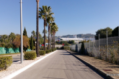 2019-WTL-Jerez-1389 2019-WTL-Jerez-1389