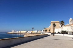 2019-WTL-Jerez-1396 2019-WTL-Jerez-1396