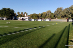 2019-WTL-Jerez-1467 2019-WTL-Jerez-1467