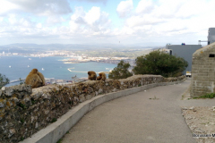 2019-WTL-Jerez-1513 2019-WTL-Jerez-1513