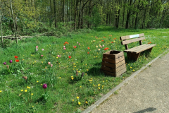 20240413_gegen-BVB04-1189 20240413_gegen-BVB04-1189