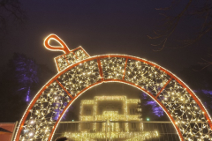 20241130_in-Freiburg-1155 20241130_in-Freiburg-1155