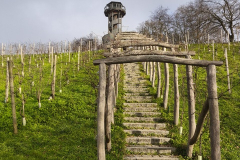 20241130_in-Freiburg-1162 20241130_in-Freiburg-1162