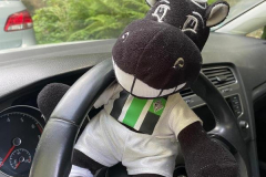 20240817_DFB-Pokal-Aue-1162 20240817_DFB-Pokal-Aue-1162