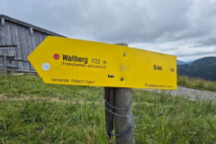 202507-STL-Rottach-Egern-1165 202507-STL-Rottach-Egern-1165