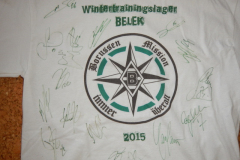 2015-WTL-Shirt-4